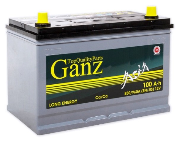 Аккумулятор GANZ ASIA 100 A/ч прямая L+ 304x173x220 EN830 A [GAA1001]