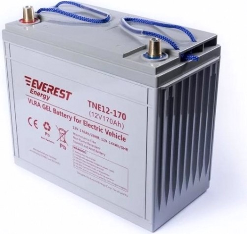 Аккумуляторная батарея EVEREST Energy TNE 12-170