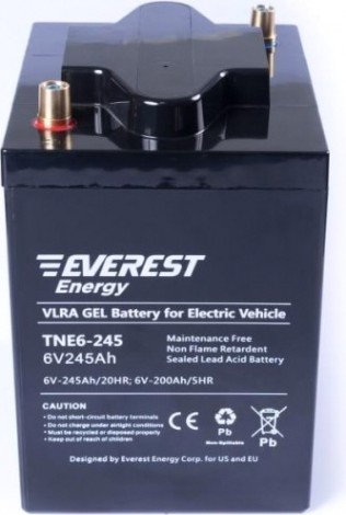 Аккумуляторная батарея EVEREST Energy TNE 6-245 Аккумуляторная батарея EVEREST Energy TNE 6-245