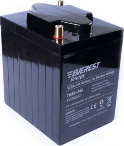 Аккумуляторная батарея EVEREST Energy TNE 6-245