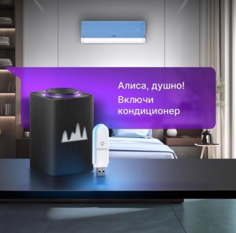 Модуль съемный управляющий HOMMYN HDN/WFN-02-01 [НС-1416708]